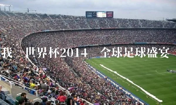 2014世界杯 全球足球盛宴